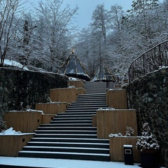 Глэмпинг Pine River, Краснодарский край