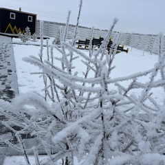 Гостевой дом Four-Frame, Омская область