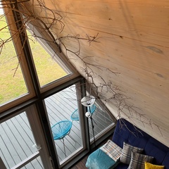 Гостевой дом Four-Frame, Омская область