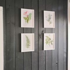 Гостевой дом Four-Frame, Омская область