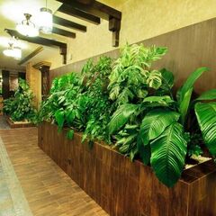 Парк-отель Троя, Краснодар, Краснодарский край