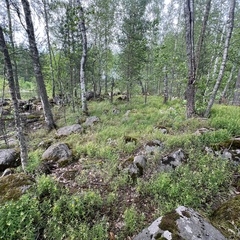 Загородный клуб На Вуоксе, Ленинградская область