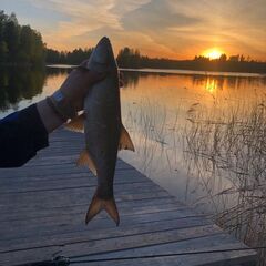Загородный клуб На Вуоксе, Ленинградская область