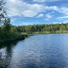 Парк-отель Светлое Озеро, Московская область