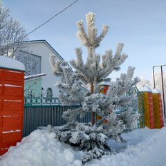 Коттедж Ливерпуль в комплексе ВКинель.ру, Самарская область