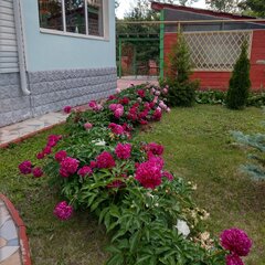 Коттедж Ливерпуль в комплексе ВКинель.ру, Самарская область