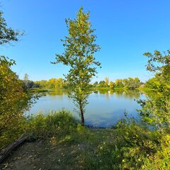 Коттедж Ливерпуль в комплексе ВКинель.ру, Самарская область