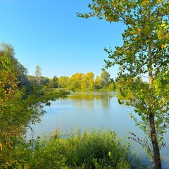 Коттедж Ливерпуль в комплексе ВКинель.ру, Самарская область