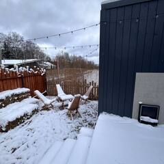 Глэмпинг Ruza River Club, Московская область