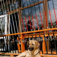 База отдыха Царская Рыбалка, Ленинградская область