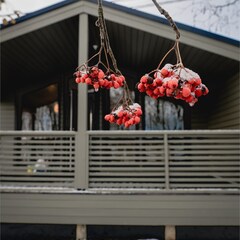 База отдыха Царская Рыбалка, Ленинградская область