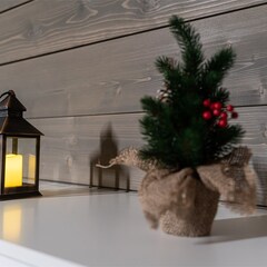 База отдыха Царская Рыбалка, Ленинградская область