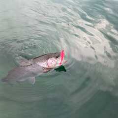 База отдыха Царская Рыбалка, Ленинградская область