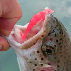 База отдыха Царская Рыбалка, Ленинградская область