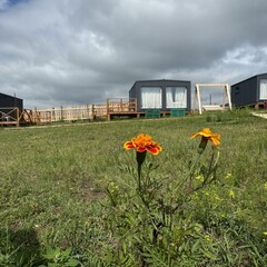 Глэмпинг Хотон, Республика Бурятия