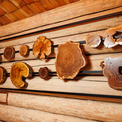 Эко-отель Агропарк Ясенево, Ярославская область