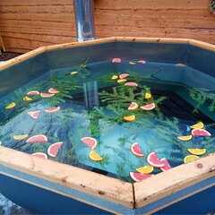 Эко-отель Агропарк Ясенево, Ярославская область