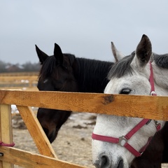 Парк-отель Благодача, Московская область