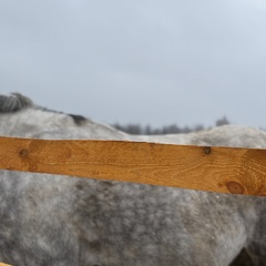 Парк-отель Благодача, Московская область