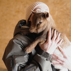 Парк-отель Благодача, Московская область
