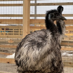 Парк-отель Благодача, Московская область
