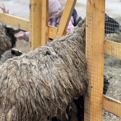 Парк-отель Благодача, Московская область