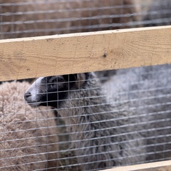 Парк-отель Благодача, Московская область