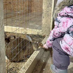 Парк-отель Благодача, Московская область