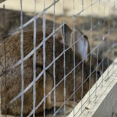 Парк-отель Благодача, Московская область