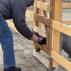 Парк-отель Благодача, Московская область