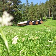 Глэмпинг Вдохни Алтай, Республика Алтай