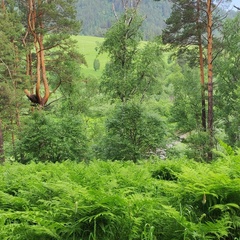 Глэмпинг Вдохни Алтай, Республика Алтай