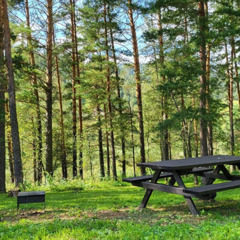 Глэмпинг Вдохни Алтай, Республика Алтай