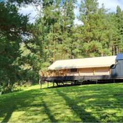 Глэмпинг Вдохни Алтай, Республика Алтай