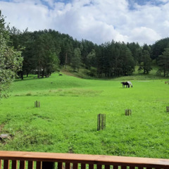 Глэмпинг Вдохни Алтай, Республика Алтай