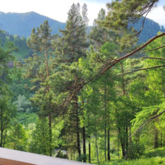 Глэмпинг Вдохни Алтай, Республика Алтай