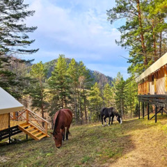 Глэмпинг Вдохни Алтай, Республика Алтай