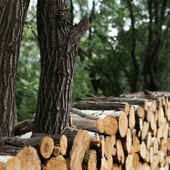 Глэмпинг Khan Glamping Goloustnoye, Иркутская область