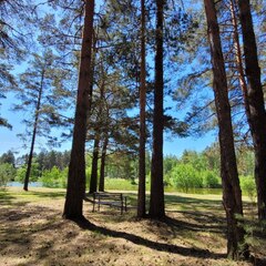 Глэмпинг Vonavi village, Владимирская область