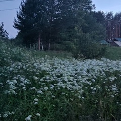 Коттеджный комплекс Карельские Лага, Республика Карелия