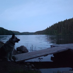 Коттеджный комплекс Карельские Лага, Республика Карелия