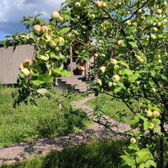 Коттеджный комплекс Карельские Лага, Республика Карелия