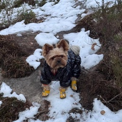 База отдыха На паузе, Республика Карелия