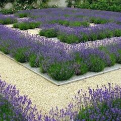 Эко-отель Соты&Варенье , Орловская область