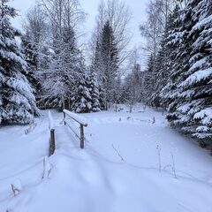 Глэмпинг Балдейкино, Московская область