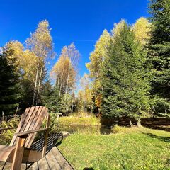 Глэмпинг Балдейкино, Московская область