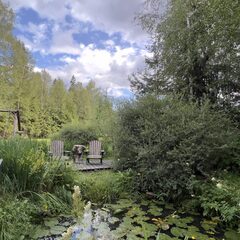 Глэмпинг Балдейкино, Московская область