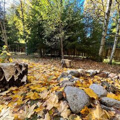 Глэмпинг Балдейкино, Московская область