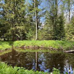 Глэмпинг Балдейкино, Московская область