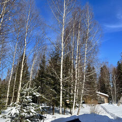 Глэмпинг Балдейкино, Московская область